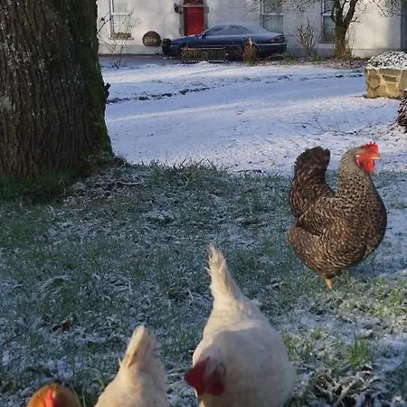 The Old Rectory Donard * Dun Ard