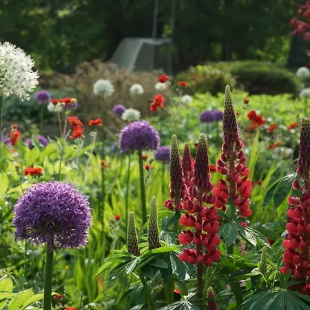 Appartement The Old Rectory Donard