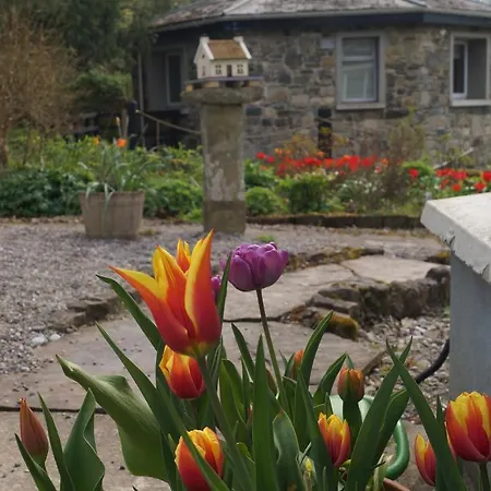 The Old Rectory Donard 아파트 *