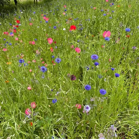 The Old Rectory Donard Apartamento Dun Ard