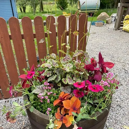 Apartamento The Old Rectory Donard Dun Ard