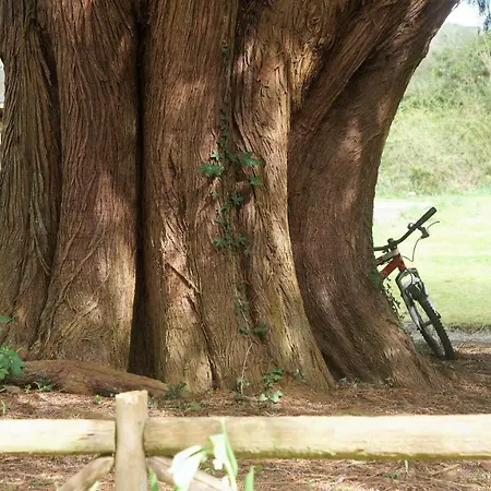 Apartamento The Old Rectory Donard *