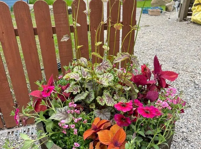 Appartamento The Old Rectory Donard Dun Ard