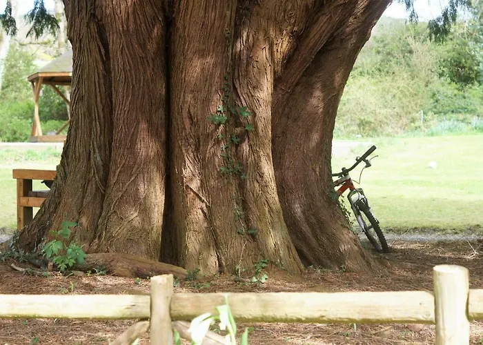 Appartamento The Old Rectory Donard *